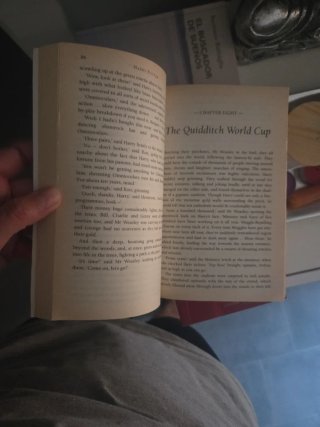 Harry potter
