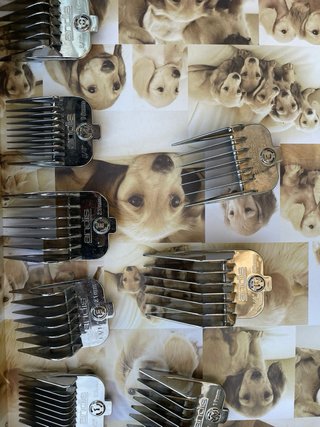Máquina Peluquería Canina Andis + Cuchillas