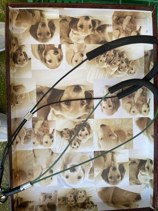 Máquina Peluquería Canina Andis + Cuchillas