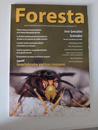 Revista Foresta n 90
