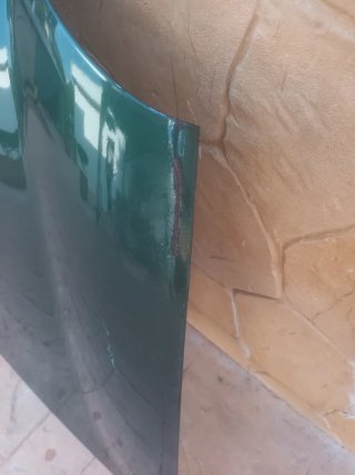 Capó MGTF Verde