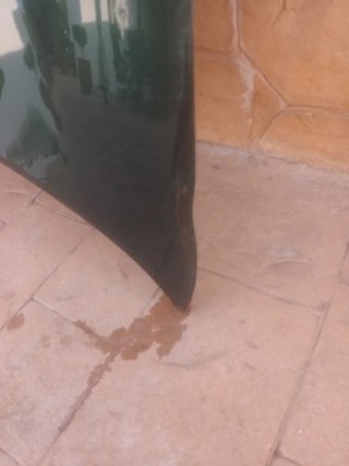 Capó MGTF Verde