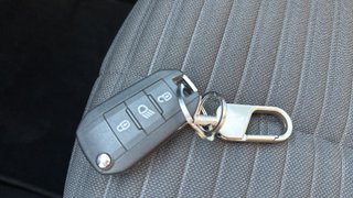 Peugeot 208 PureTech 100 Active 75 kW (100 CV)