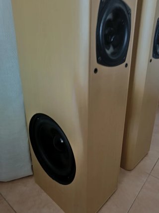 Altavoces 100W