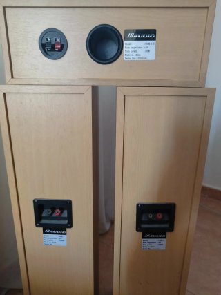 Altavoces 100W