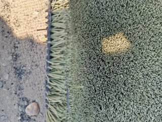 Césped artificial verde