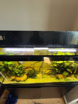 Acuario 200L con mueble y filtro