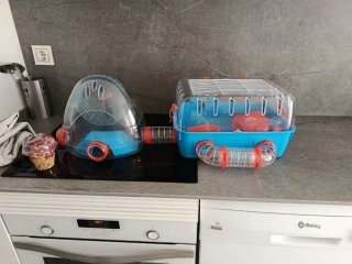 Jaula para hámster con túnel