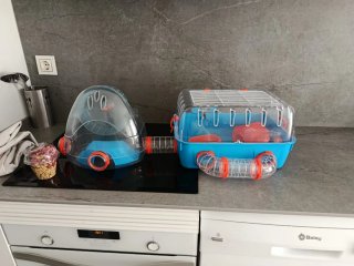 Jaula para hámster con túnel