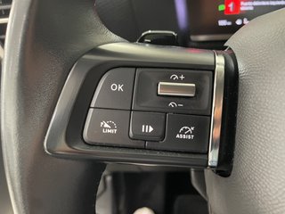 C4 BlueHDi 130 S&S EAT8 Feel Pack 96 kW 5P Automát