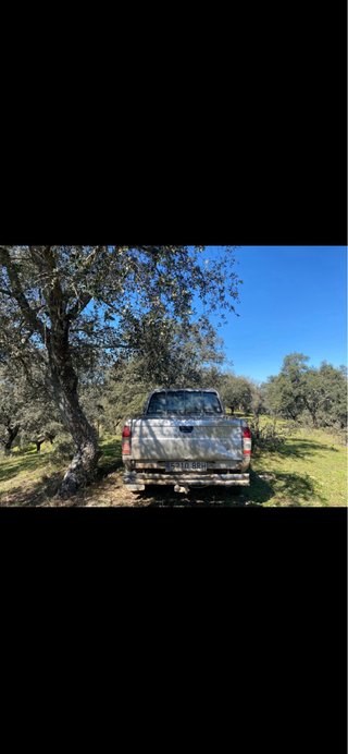 Nissan Pick-up 2001