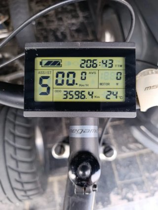 Bicicleta Eléctrica Megamo seminueva
