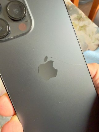 iPhone 14 Pro Max Negro 256Gb