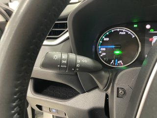 RAV4 2.5l 220H Business 4WD