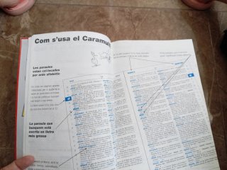 Diccionario Caramull Inicial . Valenciano.