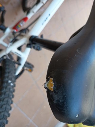 Bicicleta BH 24 Spike