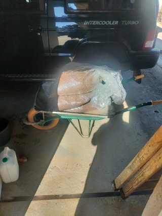 Hueso de aceituna para combustible
