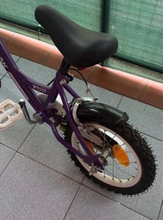 Bicicleta infantil morada WildTrak