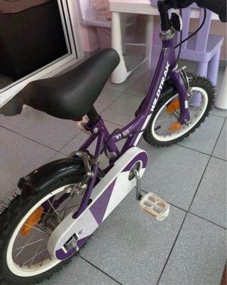 Bicicleta infantil morada WildTrak