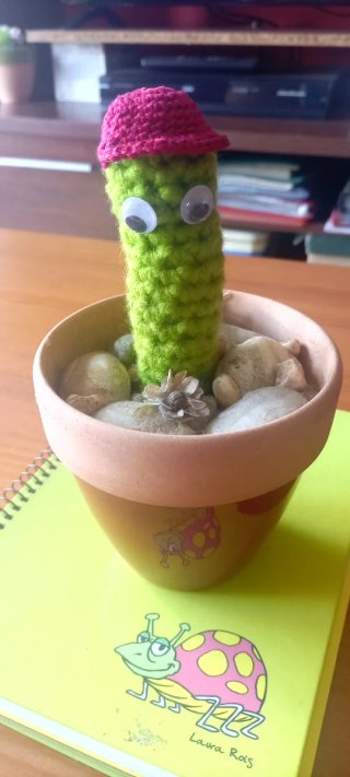 Cactus tejido con ojos y gorro