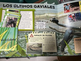 Planeta Animal Salvemos a los animales en peligro