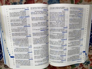 Diccionario de Primaria