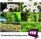 Lampada LED Piante Spettro Completo