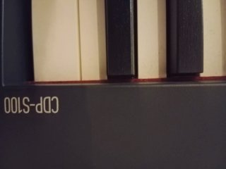Piano Casio CDPS100 88 teclas