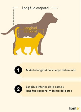 lionto cama perros cojín reversible antideslizante