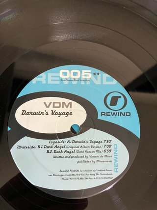Vinilo VDM - Darwin's Voyage