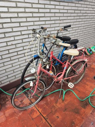 Bicicleta BH rosa