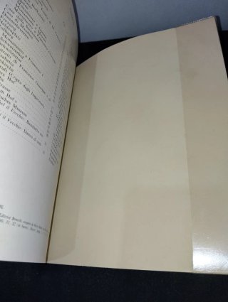 Guida Vienna Edizione Italiana Bonechi Verlag