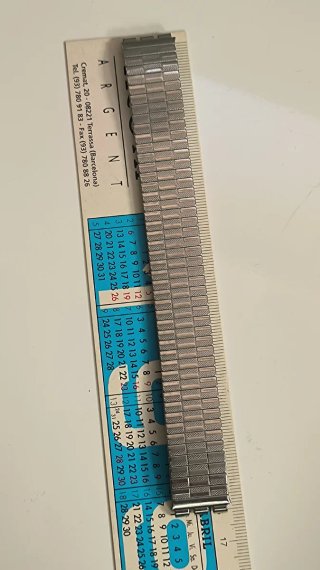 Correa Swatch Acero Extensible 17mm