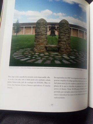 Navarra, la cultura del vino