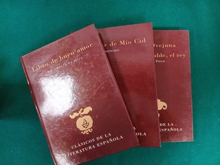 Lote 3 Libros Clasicos de la literatura española