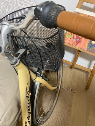 Bicicleta Torpado Vintage
