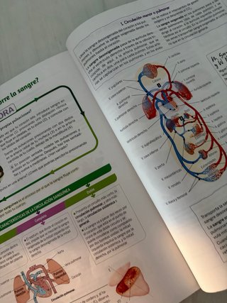 Biología y geología, 3 ESO, Proyecto 5 etapas