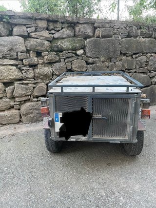 Remolque perros caza