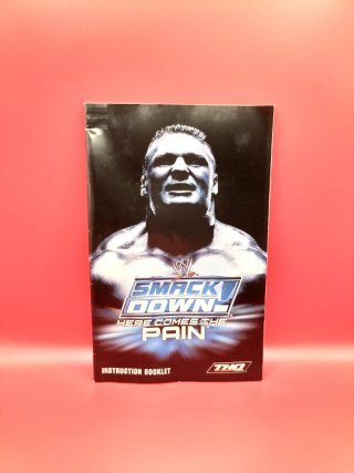 Smackdown! Here Comes the Pain PS2
