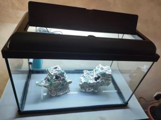 Acuario