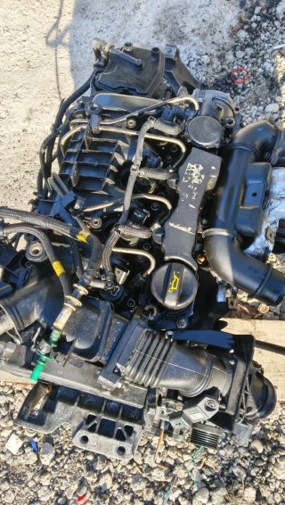 Motor Ford Focus C-Max G8DA