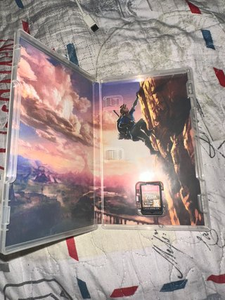 Zelda Breath of the Wild NSW