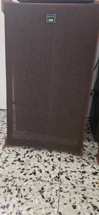 Altavoces Sony Marrones y Negros