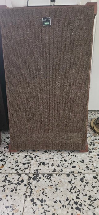Altavoces Sony Marrones y Negros