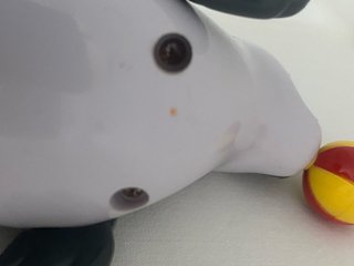 Foca giocattolo con palla