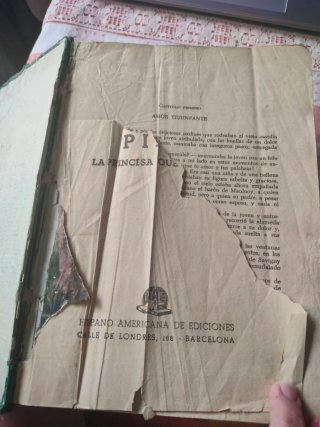 PILAR. LA PRINCESA QUE SUPO AMAR