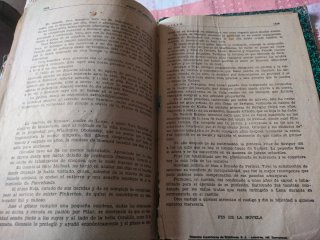 PILAR. LA PRINCESA QUE SUPO AMAR