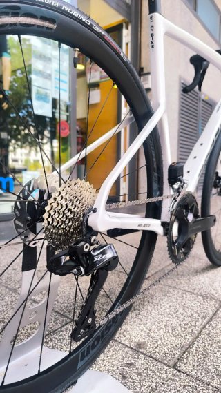 BERRIA BELADOR 6 ESSENTIAL Di2