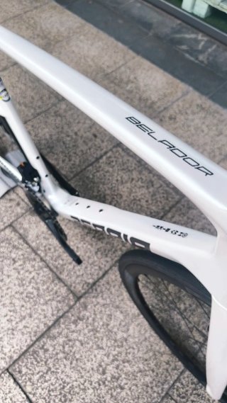 BERRIA BELADOR 6 ESSENTIAL Di2