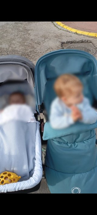 Carro Gemelar Bugaboo Fox 2